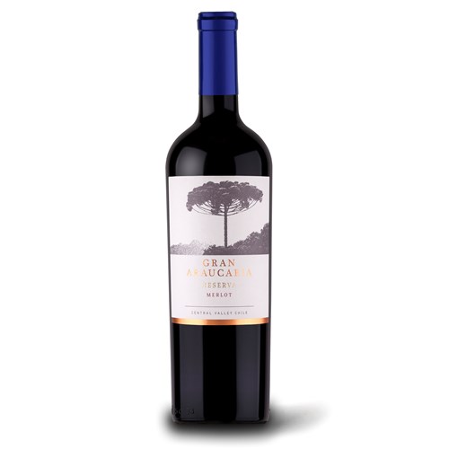 Gran Araucaria Merlot Reserva 75cl - Chilean Red Wine - Top Choice
